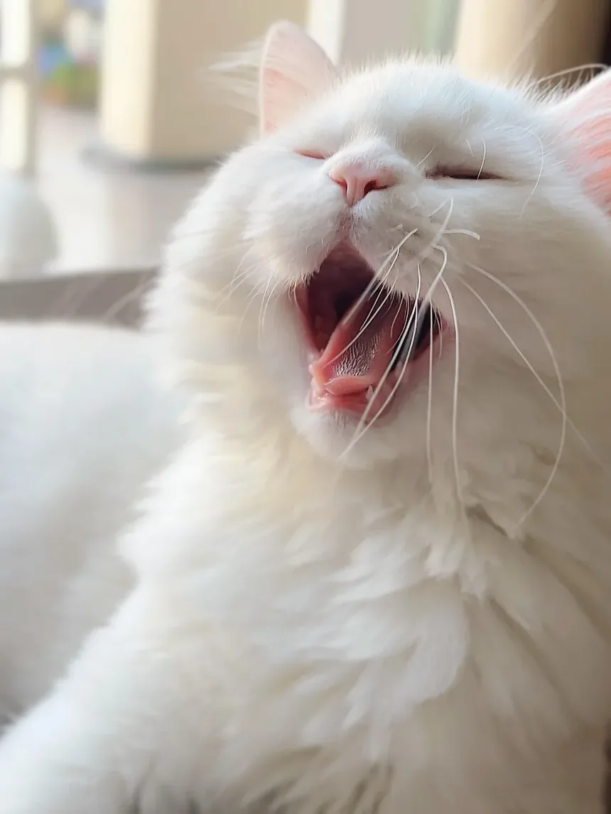 As Pulgas São Visíveis em Gatos? Entendendo Infestações de Pulgas
