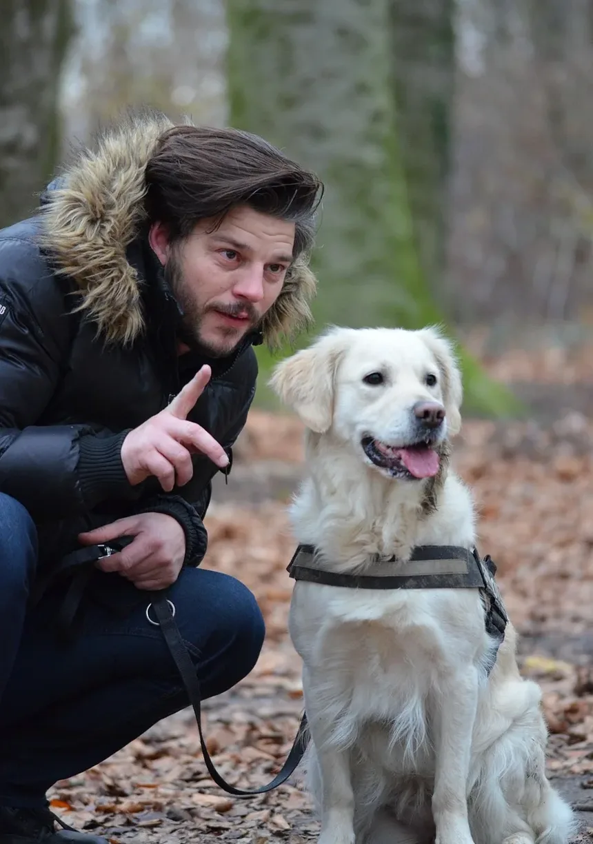 Como Ajudar Seu Cão a Recuperar a Força: Um Guia Completo