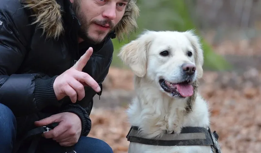 Como Parar Convulsões em Cães Naturalmente: Remédios Caseiros